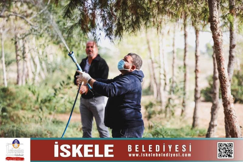 Galeri fotoğrafı 2