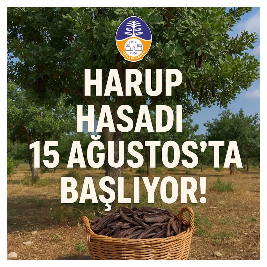 HARUP HASADI 15 AĞUSTOS'TA BAŞLIYOR!