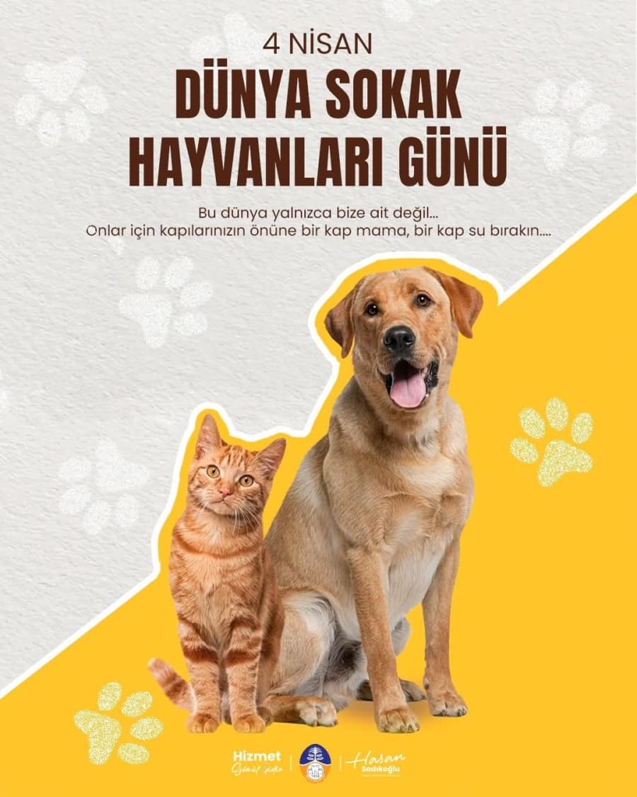 ?ç Bu dünya sadece bizim değil, onların da yuvası