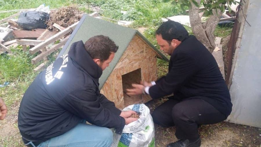 İSKELE BELEDİYESİ SAHİPSİZ KÖPEKLERE SAHİP ÇIKTI!!